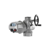 IQM25 F14 B3 Rotork Vietnam