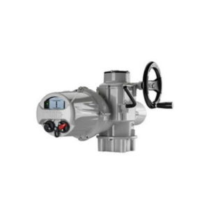 IQM25 F14 B3 Rotork Vietnam