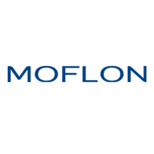 Moflon Vietnam