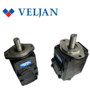 VT6DCM-B45-B31-3L-00-B100 Veljan Hydraulic Vietnam 